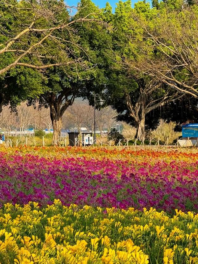 福州公园图鉴｜这10个地方，装下了整座城的“呼吸”