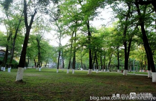 景德镇人民公园观后（江西之旅第三十篇）