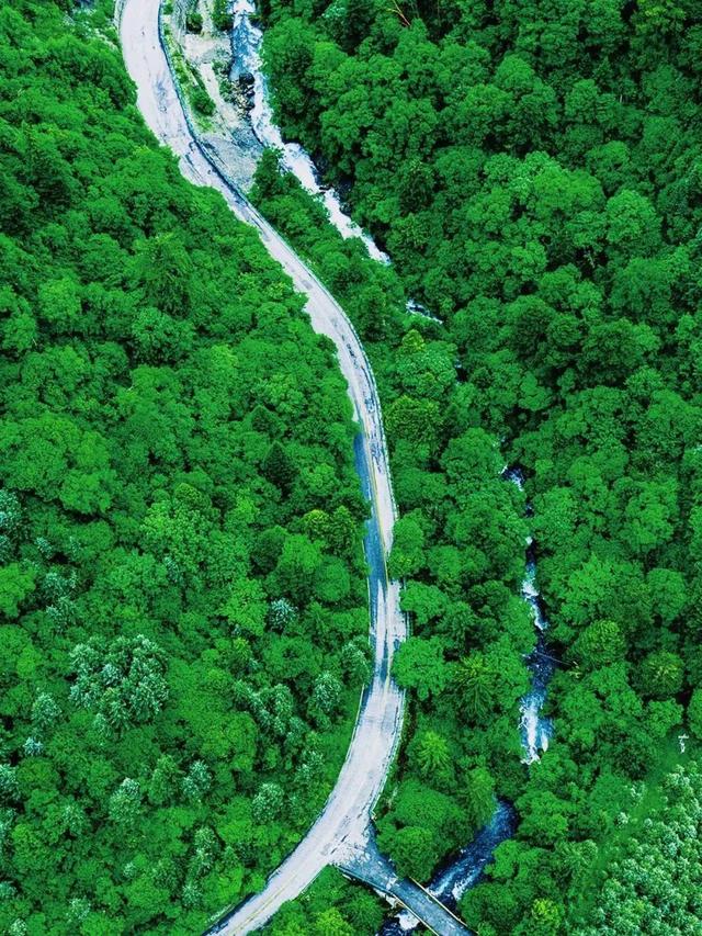 高海拔地区遭遇高反？这份应对指南请收好→