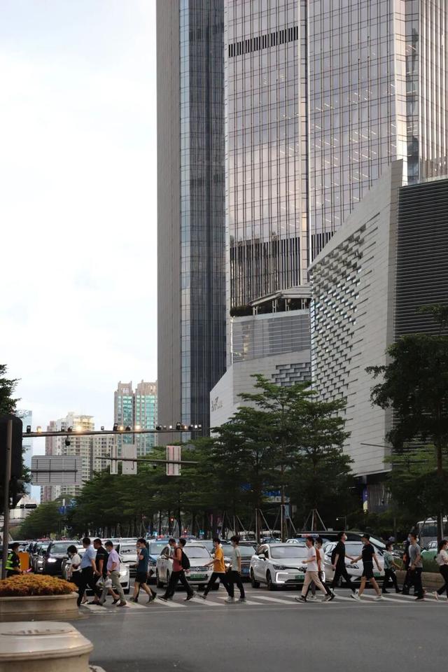 “宜居深圳”道路篇：山海与都市的交响