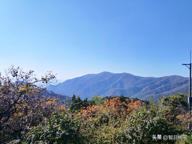 以我4次经历，带你打卡北京香山，北京的朋友请补充