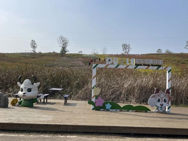 随性骑游六合随拍小景