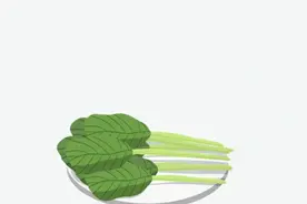 今天才知道：这4类蔬菜，不焯水等于在“服毒”？很多人不知道图片