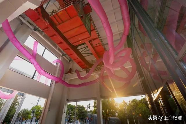 强推！这三条Citywalk路线带你畅游复兴岛和杨浦滨江