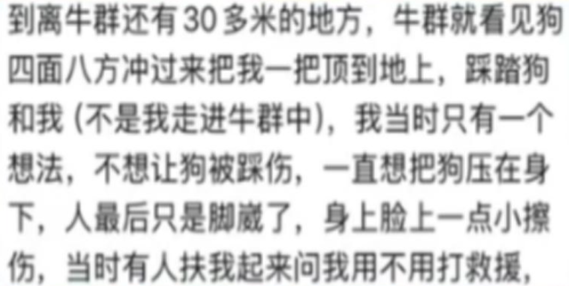 五台山一游客被牛群撞倒围攻，景区回应