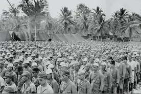 解开历史谜团！二野歼敌336万，震撼数字争议揭秘！图片