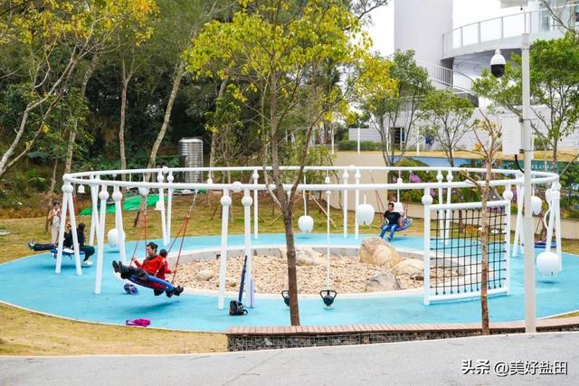 二刷、三刷……遛娃党解锁恩上湿地新玩法！