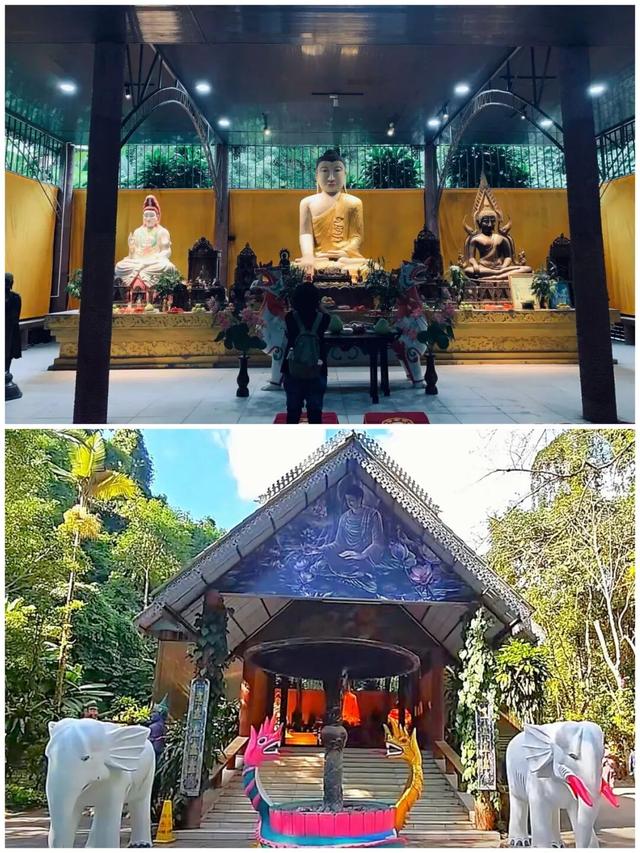 莫里热带雨林好风光