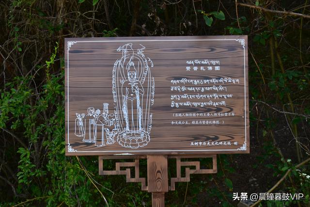 2025夏探寻青海之美（三）