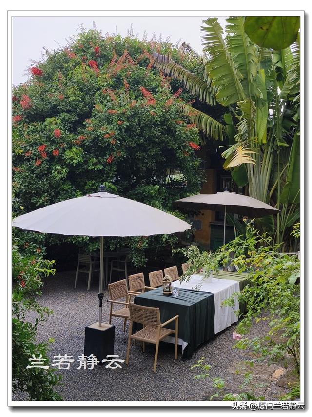 云南建水：百年米轨观光小火车 & 沿途景点
