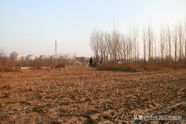 这一次外出闲游感慨颇多