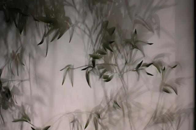 人挤人的南京，现在还值得去吗？