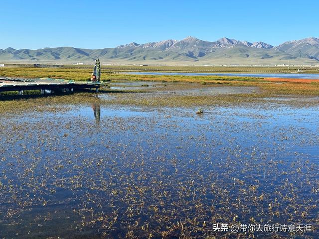 若尔盖大草原之花湖的梦幻仙境