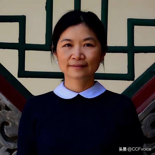 《构建可持续的开源共同体：全球协作、激励创新与治理平衡》