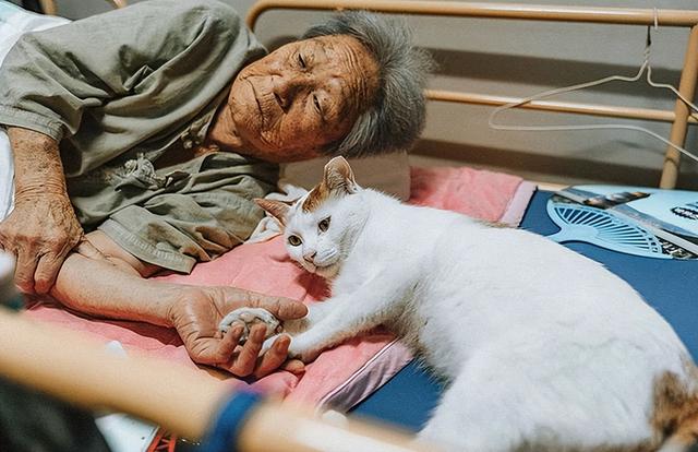 外婆总说“阁楼有鬼”，拆迁挖掘机挖出了一段跨越生死的禁忌之恋