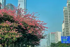 昆明和南宁都去过，说句实话，两城相比，南宁要比昆明好多了图片