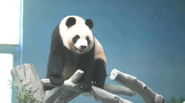 暑假进度条过半，临沂这些遛娃胜地你都打卡了吗？