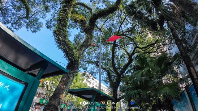 深圳这条街,曾经挤破头都难进入,现在扫码就进却为何没人去了?