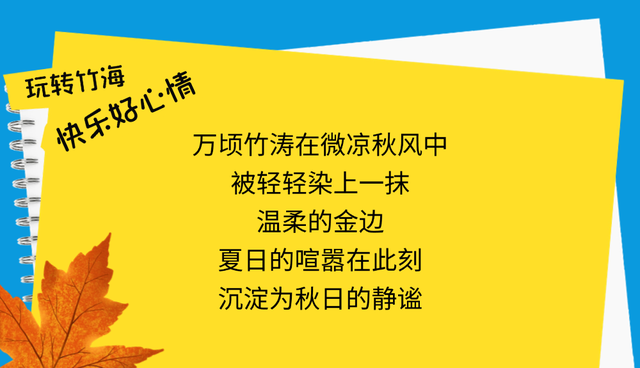 邂逅竹海秋日，解锁25℃的绿意仙境！