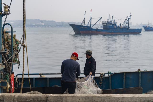 大连金州：中国北方最大的国家级渔港