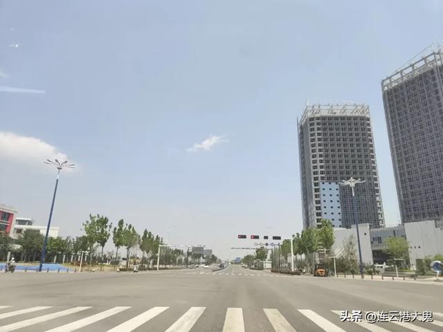 赣榆新晋网红打卡地“一大片花海”,尤其是日出和夕阳时更出片