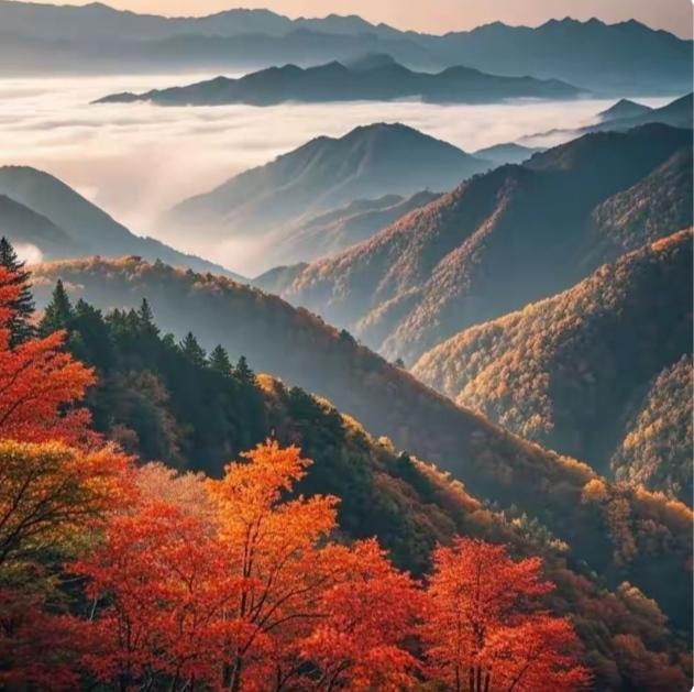 光雾山何时小众？