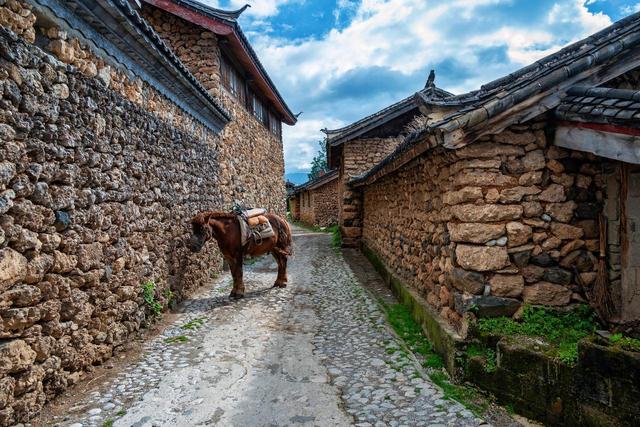 行走云南 | 茶马古道究竟有多少条？我们一起再来盘点茶马古道
