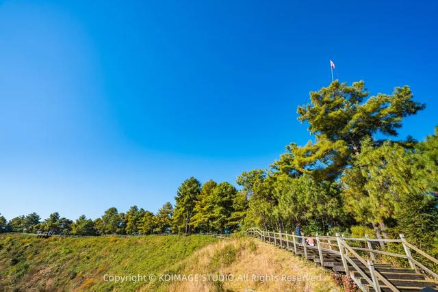 我愿称腾冲为秋季的天花板!银杏、温泉、古镇,来过的人都不想走