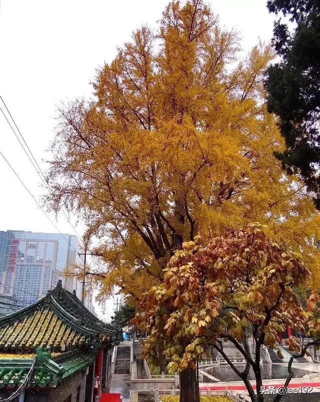 细赏王府之—豫亲王府（协和医学院）（37）《2》
