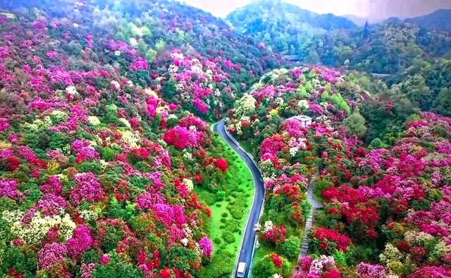 毕节，一个被严重低估的旅游目的地！