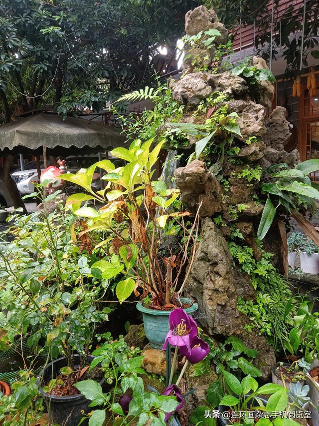 龙门镇拾景