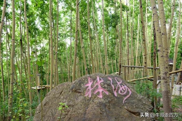 河北百草畔（上）：风动孤石悬险韵，蚁巡深岭蕴生机