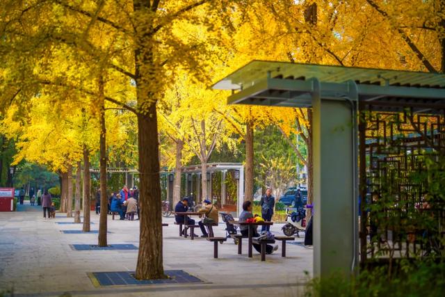 全龄友好,四季皆景!皇城根遗址公园焕新升级,超多美图→