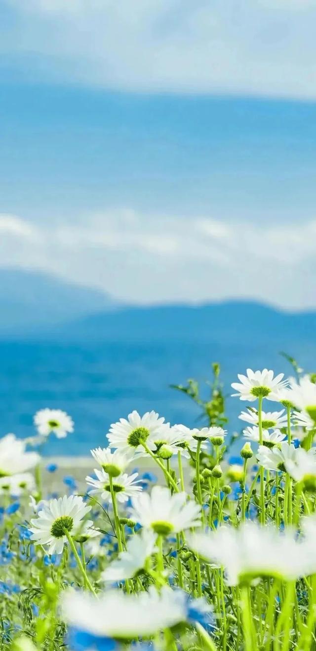 #夏日炎炎有你超甜 #海洋 #人与自然和谐共生