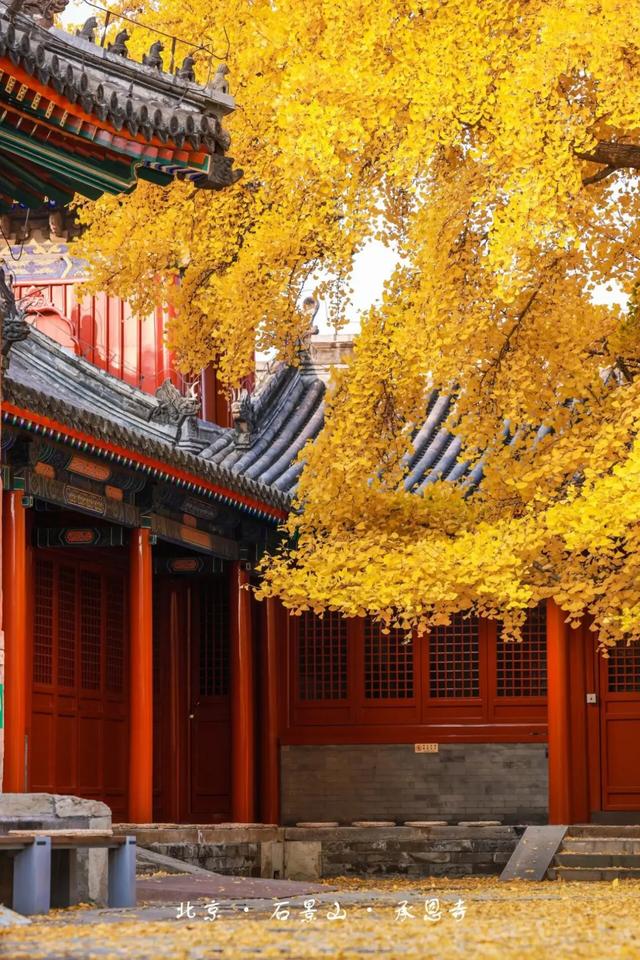 花式赏秋、文创上新，石景山这个古寺将迎最美时节！