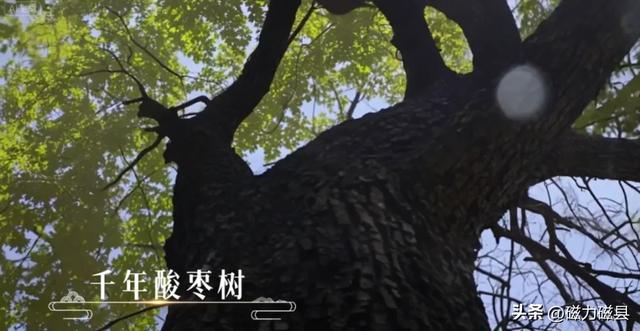 魅力磁县｜北纬36°的自然与人文交响，太行山脉的鎏金印记