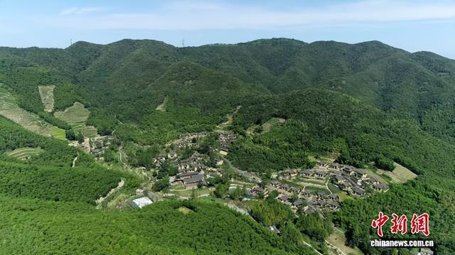 荒僻山林变清凉热土 “山林旅游热”点燃浙江夏日经济
