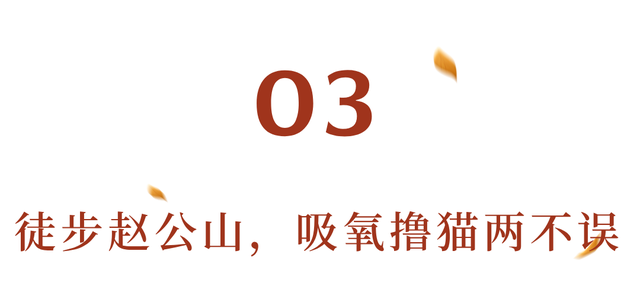 美疯！我就说初冬的都江堰有真东西！
