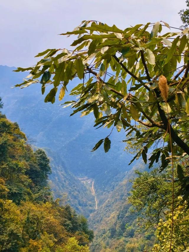 重庆江津大山里的古村落，买包盐巴要走5公里山路