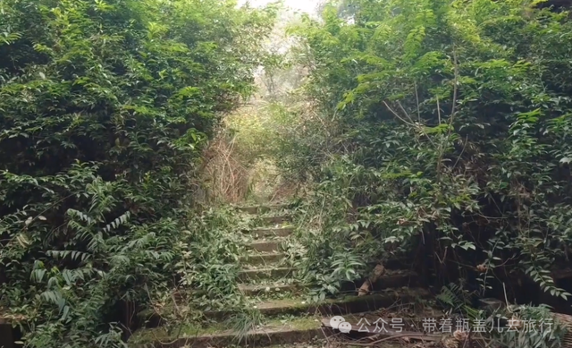 重庆山谷中荒废的景区，杂草丛生空无一人，探险者忠告别一个人来