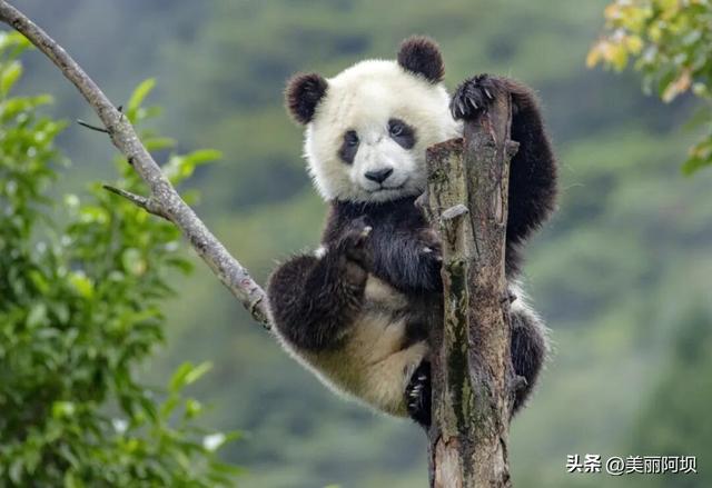 穿越520公里的山河壮阔！这条川西环线也太懂浪漫了！