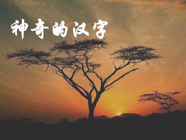 毫发之间八十九谈