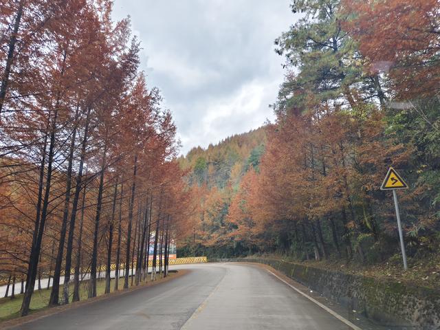 南行漫记：汉中南郑区到巴中恩阳区，9小时233公里的行走路书