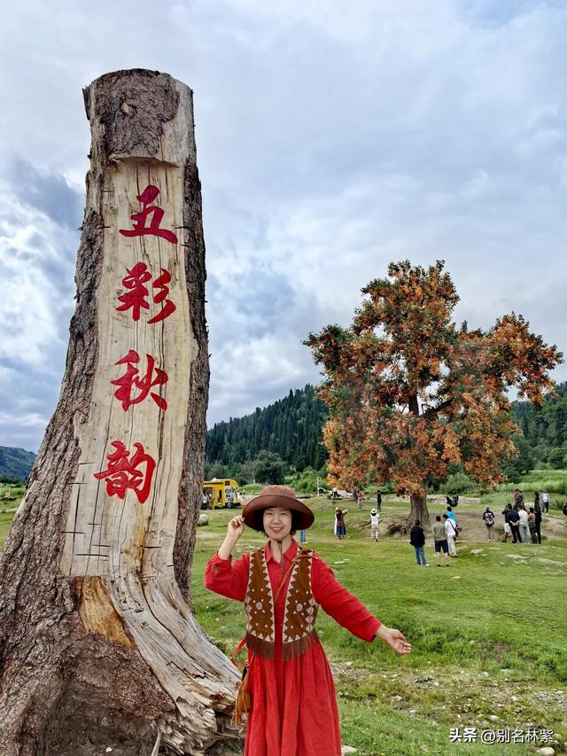 解锁库尔德宁,新疆伊犁的“天然氧吧”,60元门票太值了(6)