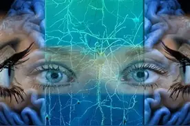 究竟是记忆错乱还是现实改变？探寻你身边的曼德拉效应之谜图片