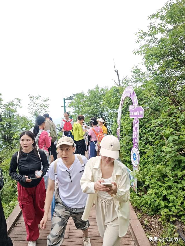 徒步瓦屋山,太艰难了,坚持下来不容易