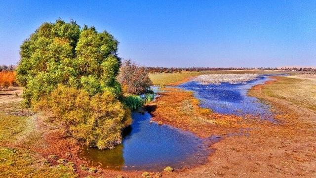 内蒙古杭锦旗：湿地秋景惹人醉