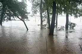 河南旱涝急转，“好不容易救回来的庄稼又被淹了”图片