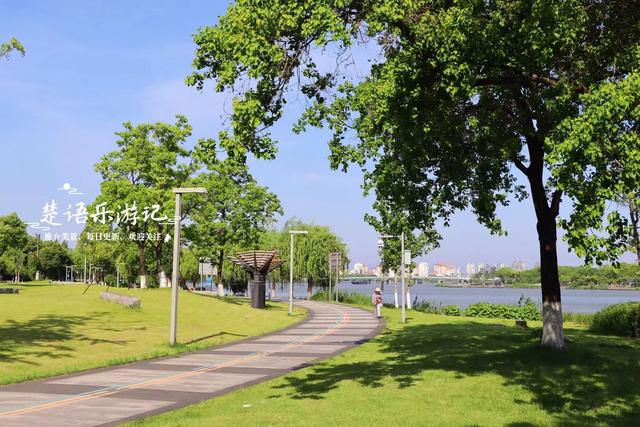 浙江宁波的江畔公园，湿地、溪谷、花海等一应俱全，堪称露营胜地