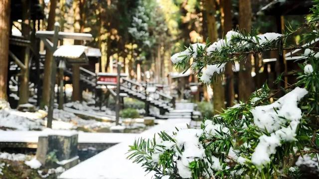 热“雪”以待！坪坝营嬉雪乐园抢先剧透​